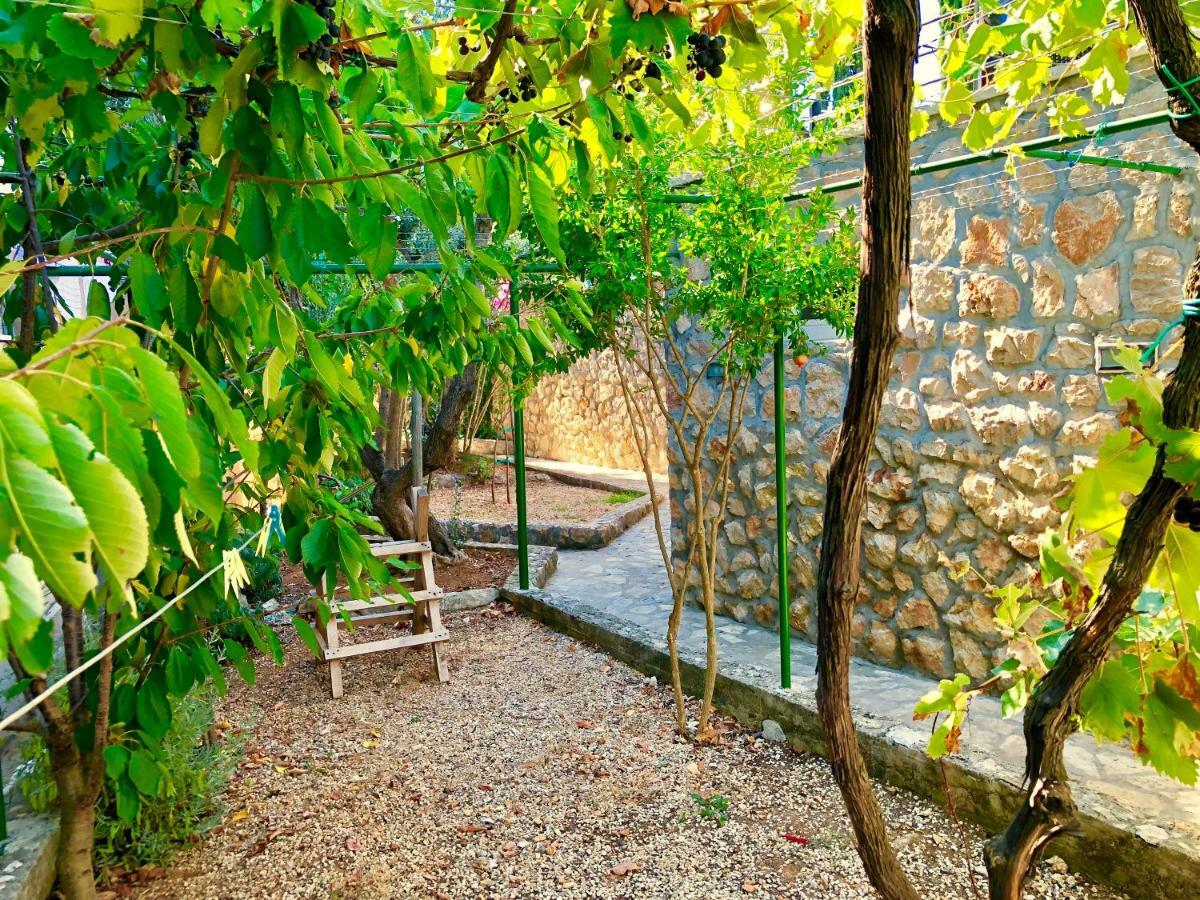 Villa Dinastija 卡利 外观 照片